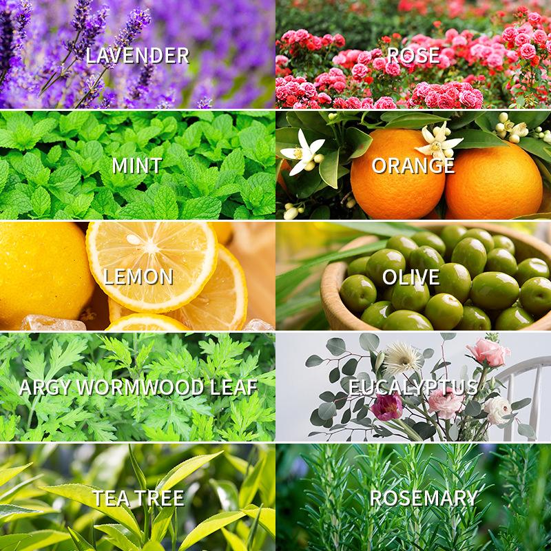 زيت عطري للعلاج العطري 10 مللي - مراجعة Lavender Oil وسعره